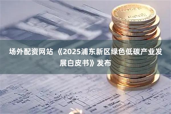 场外配资网站 《2025浦东新区绿色低碳产业发展白皮书》发布