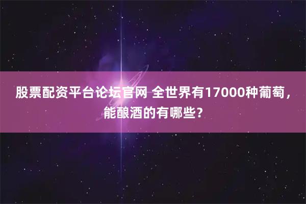 股票配资平台论坛官网 全世界有17000种葡萄，能酿酒的有哪些？